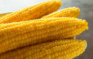  Is Corn Good for Cholesterol?