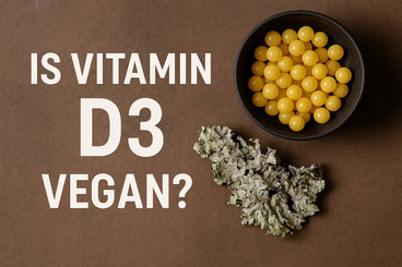 Is Vitamin D3 Vegan?