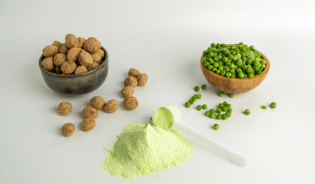 Pea Protein vs. Whey: What The Research Actually Says
