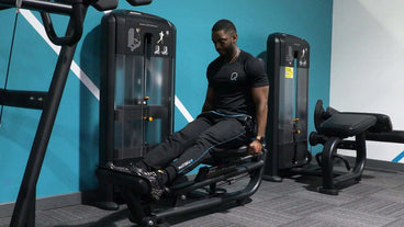 seated weight training exercises