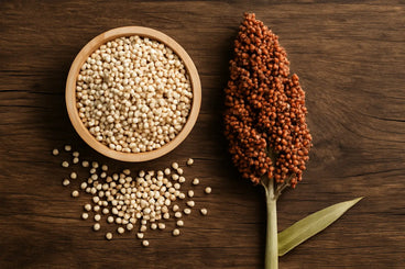 what is sorghum
