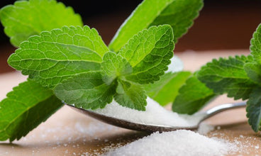 nutrition,weight loss