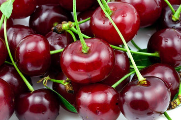 Cherry Juice and Gout
