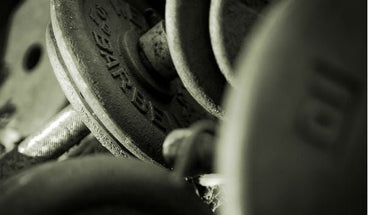 Power Building Chest and Back Workout