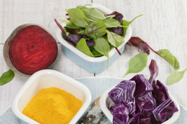 nutrition,holistic and eco-living