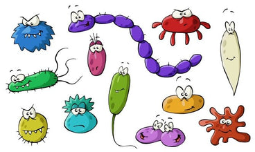 holistic and eco-living