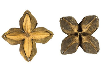 Health Benefits of Sacha Inchi for a Healthier You