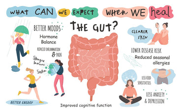 Gut Health