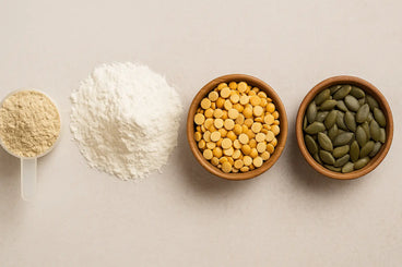 soy free protein powder