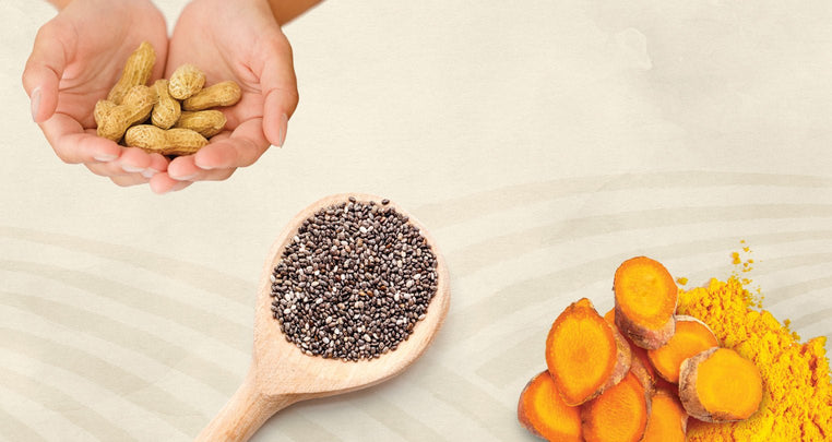 FUNCTIONAL INGREDIENTS from Sunwarrior