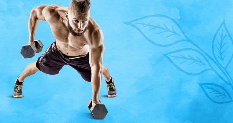 MUSCLE from Sunwarrior