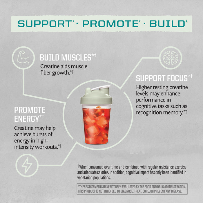 ActiveCreatine 300g Unf Benefits