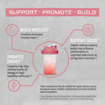 Active Creatine 350g Raspberry Benefits