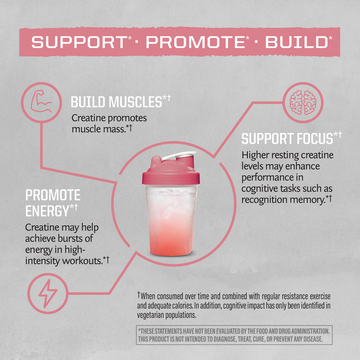 Active Creatine 350g Raspberry Benefits