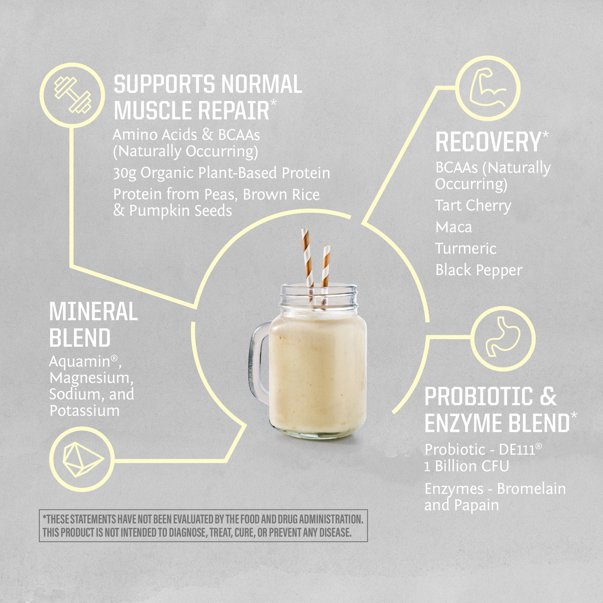 Active Protein 1kg Vanilla Benefits