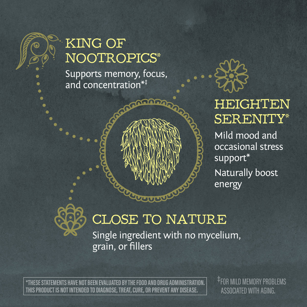 Be•Well Organic Lion's Mane Mushroom Powder Offer Special Sunwarrior   