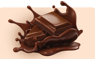 Active Line Landing Flavor Chocolate Protein