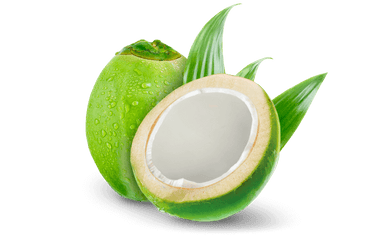 Coconut