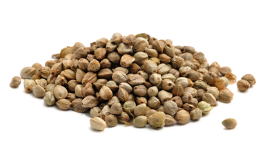 Hemp Seed