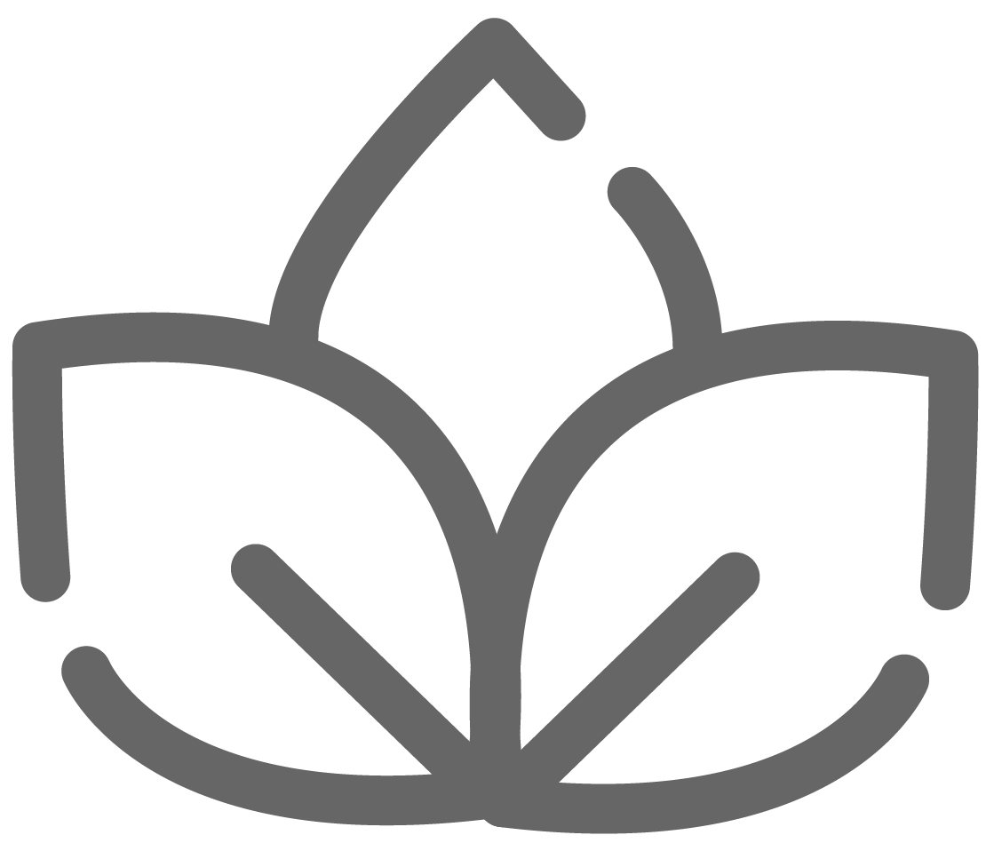 Saffron Extract Capsules