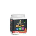 Active Creatine Rainbow Sherbet Vitamins & Supplements Sunwarrior 50 Servings