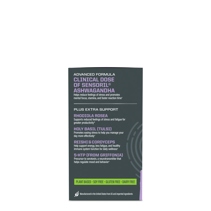 Active Focus and Balance BUNDLE Bundle Sunwarrior