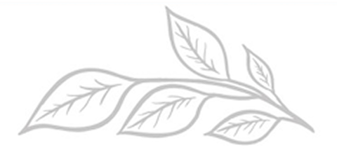 Simple gray outline of a small branch with six detailed leaves arranged in pairs on a white background