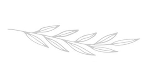 Decorative leaf design on a white background