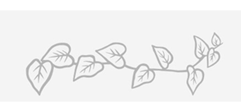 Simple line drawing of a leafy branch on a white background